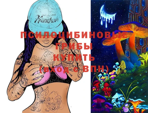 apvp Абаза