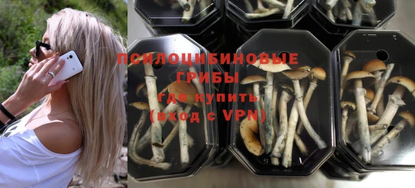 спайс Абинск