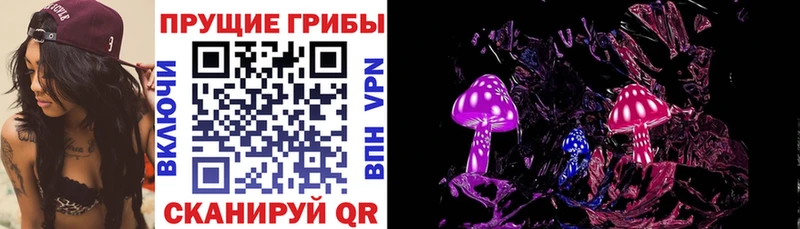продажа наркотиков  Игарка  Галлюциногенные грибы GOLDEN TEACHER 